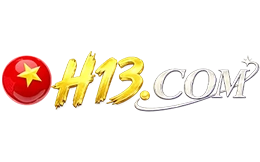 H13COM